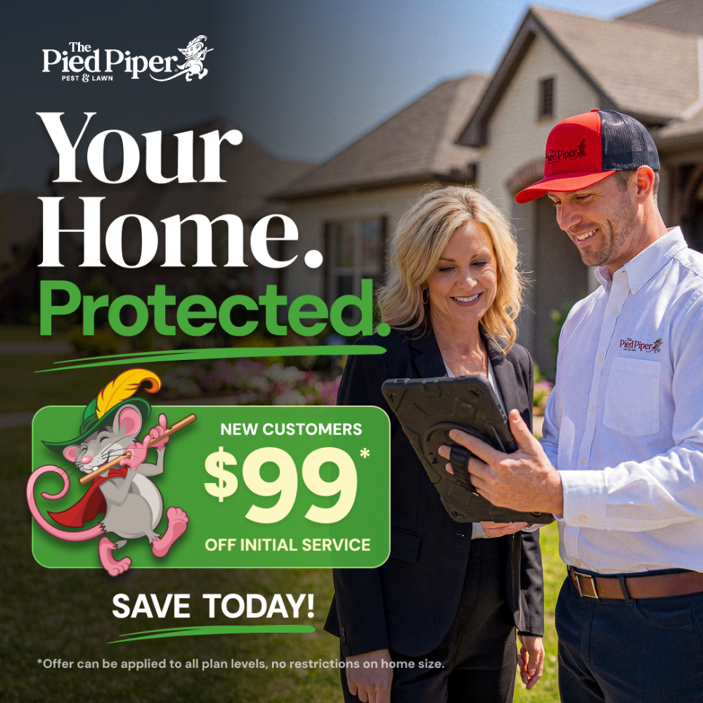 Pied Piper Pest, Termite & Lawn Service Facebook ad: Get Started Today for just $99!