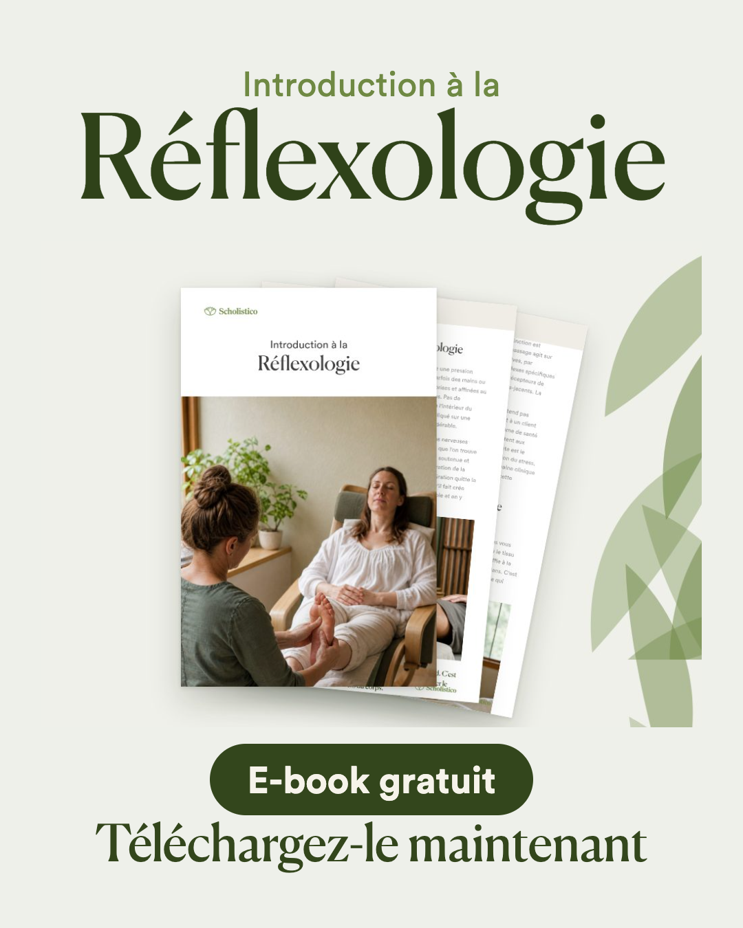 Scholistico en Français Facebook ad: [GRATUIT] Introduction à la réflexologie