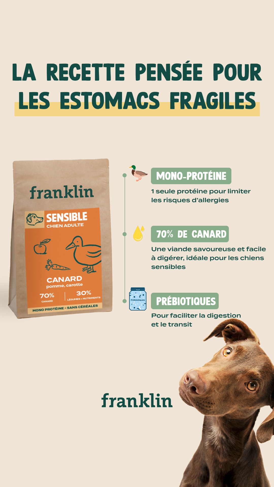 Franklin Pet Food Facebook ad