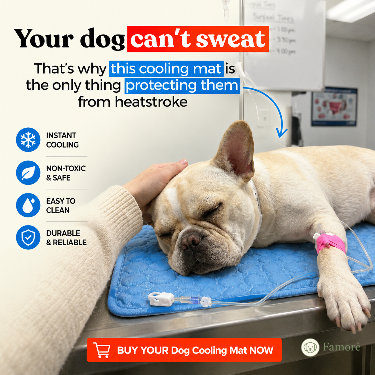 Famoré Pet Facebook ad: BUY 1, GET 1 FREE TODAY!