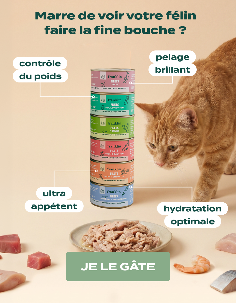 Franklin Pet Food Facebook ad