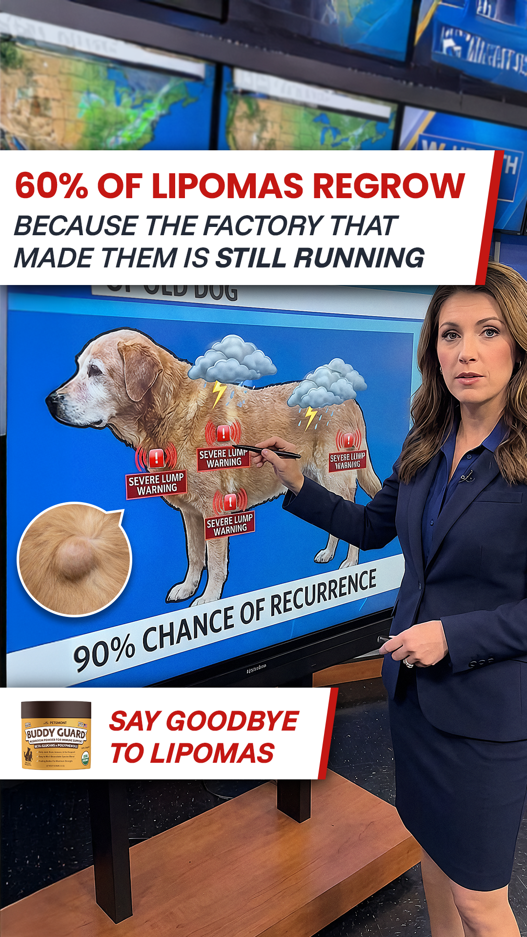 Petsmont Facebook ad