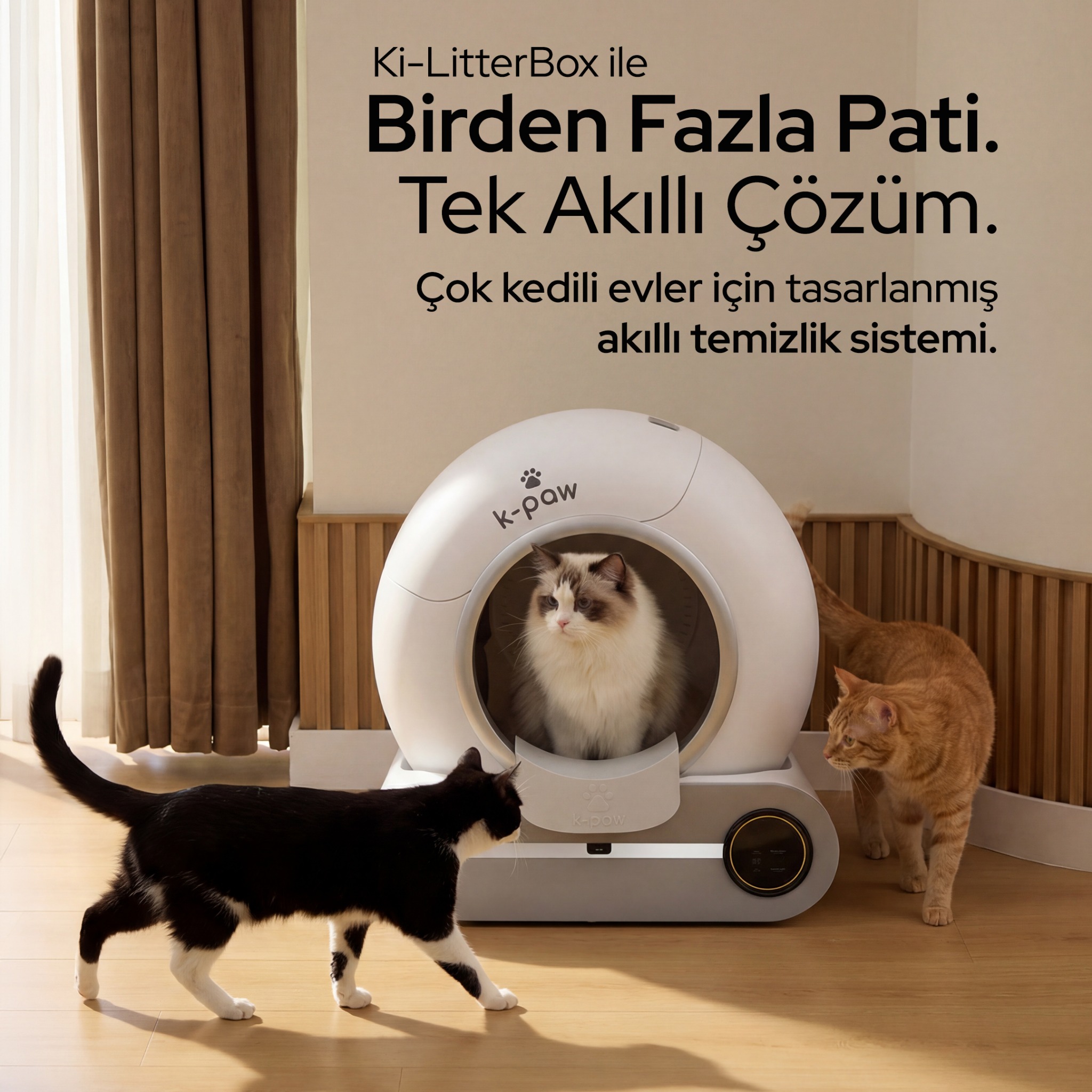 K-paw Facebook ad