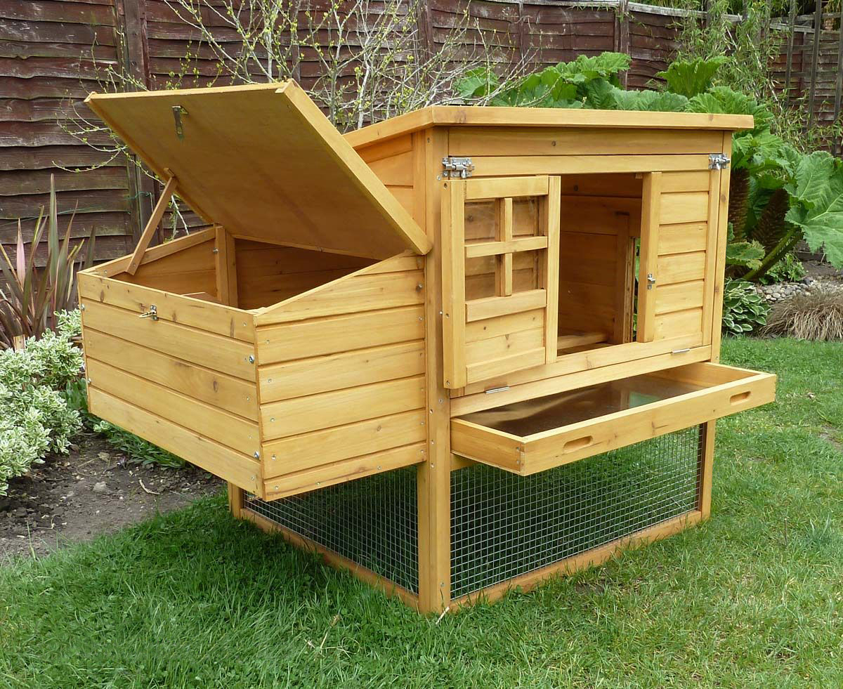 Chicken Coops Direct Facebook ad: Keep your hens safe & happy with a…