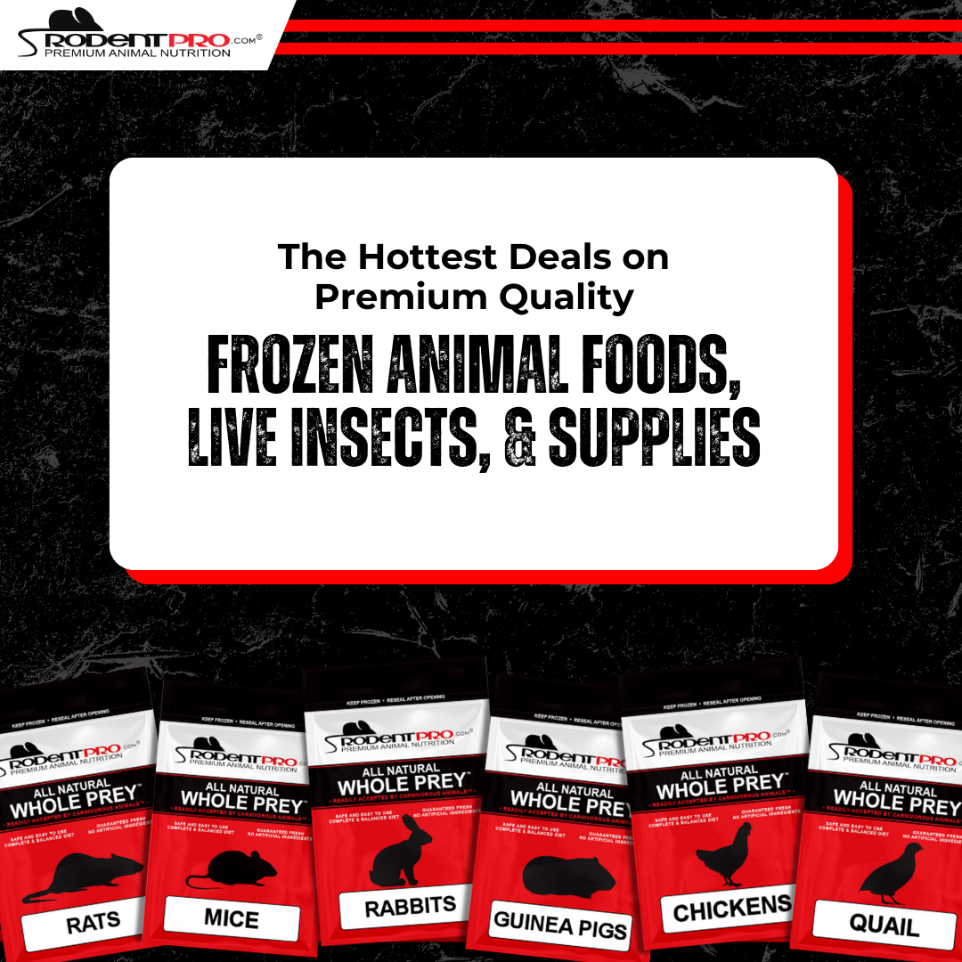 RodentPro.com Facebook ad