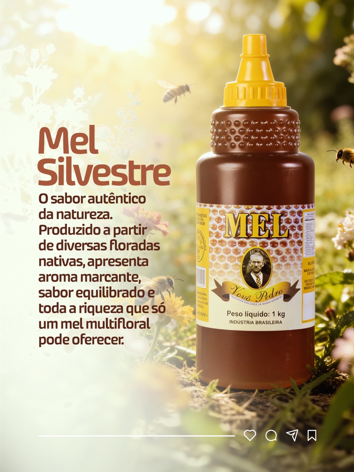 Apiários VOVÔ PEDRO Facebook ad: Mel Vovô Pedro Bisnaga 1KG - Silvestre