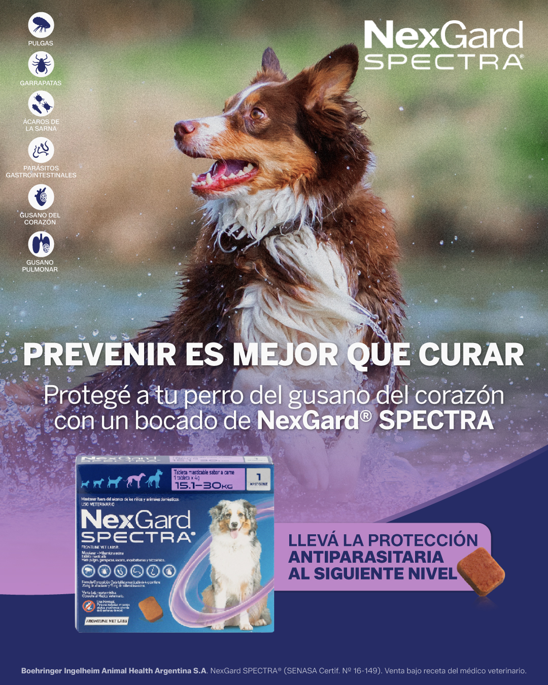 Nexgard Argentina Facebook ad: Hay riesgos que no se ven, pero están.