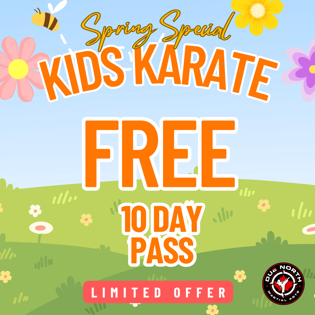 Due North Martial Arts Facebook ad: Spring Into Confidence, FREE 10-Day Pass!