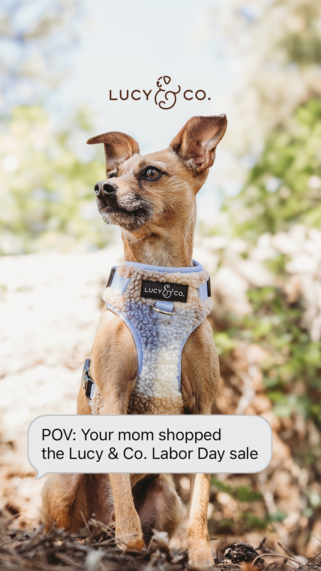 Lucy & Co. Facebook ad
