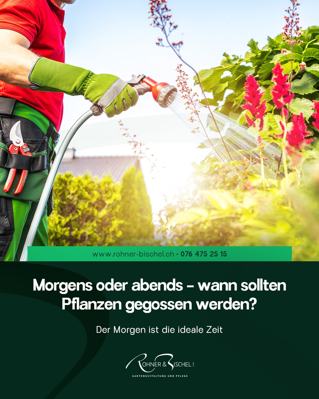 Rohner & Bischel GmbH Facebook ad: Morgens oder abends, wann giessen Sie Ihre Pflanzen?
