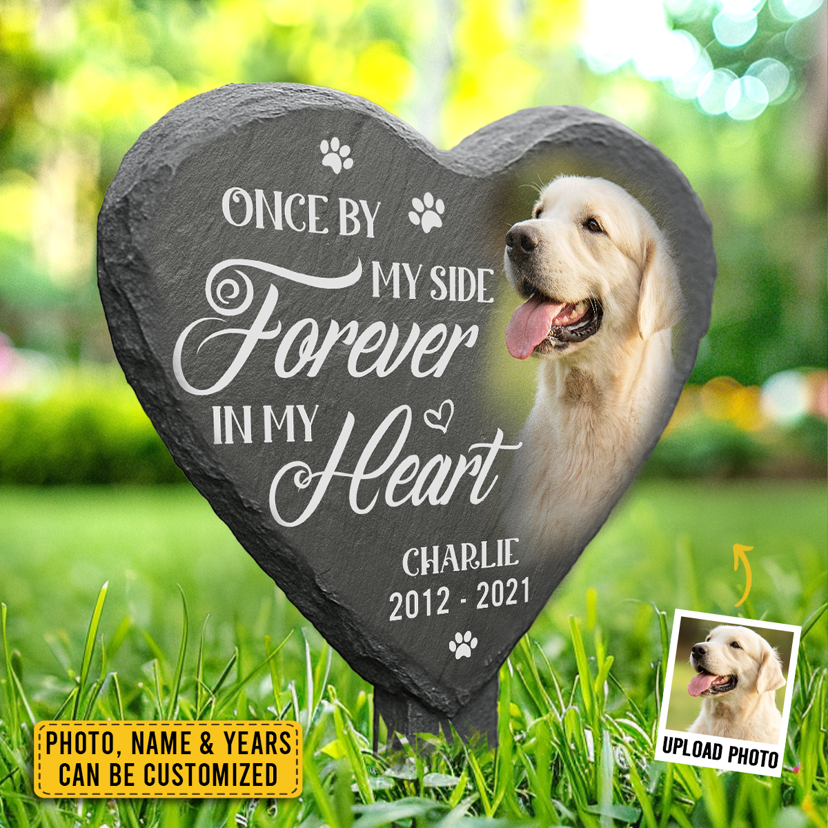 The Pawfect House Store Facebook ad