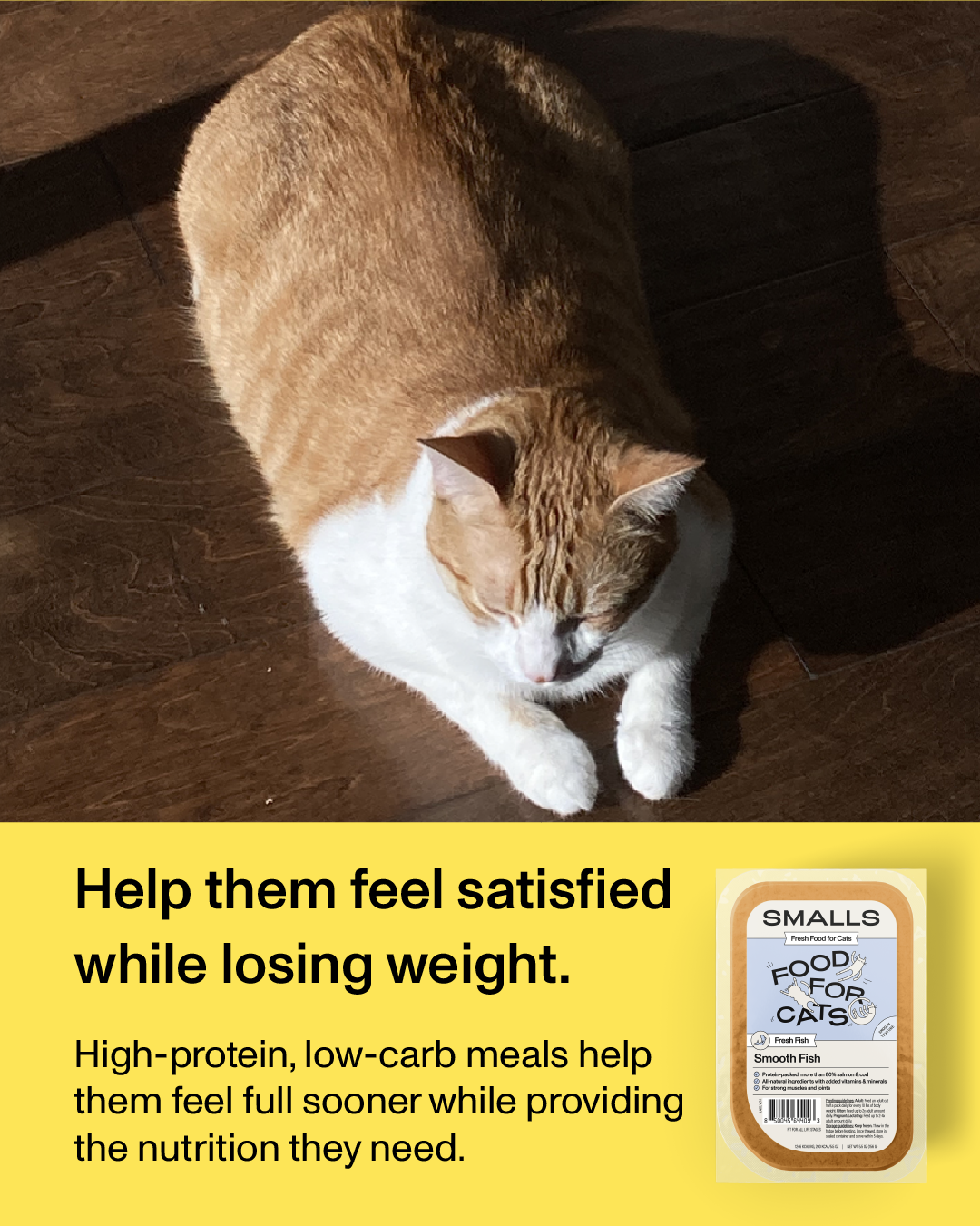 Smalls Facebook ad: Human-Grade Fresh Cat Food