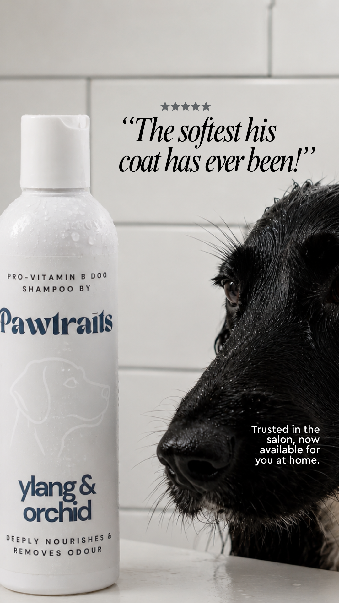 Pawtrait Dog Salon Facebook ad