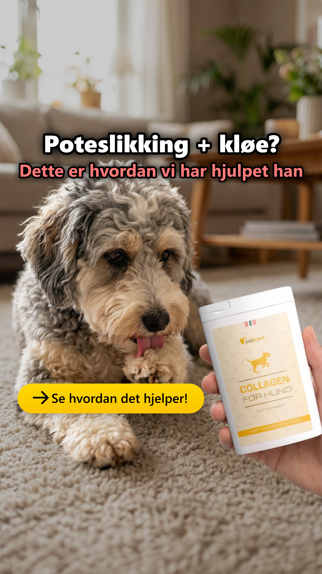 Collagen for hund Facebook ad: Prøv Collagen For Hund gratis!