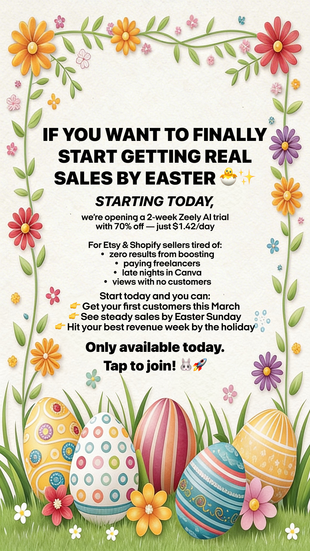 Zeely Facebook ad