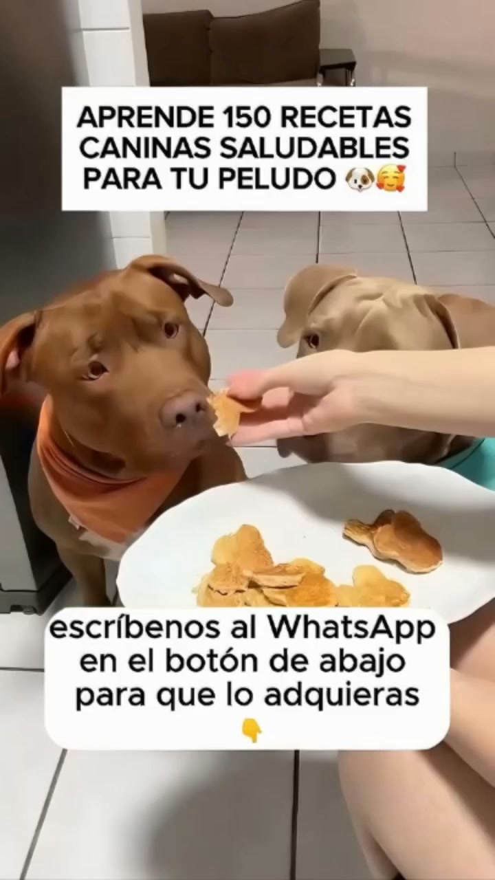 Univirtual de Aprendizaje Facebook ad: +99 Peluditos Satisfechos