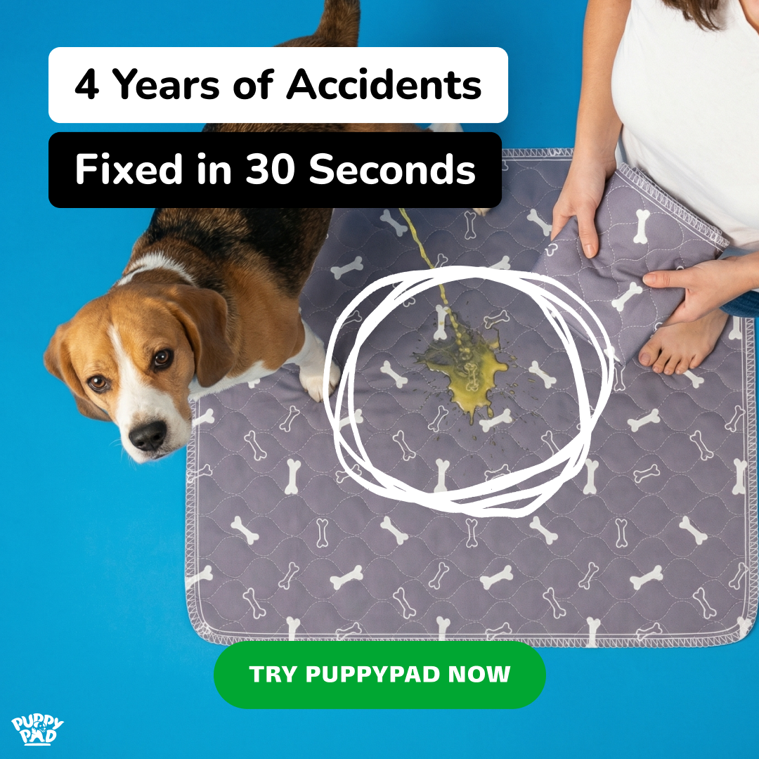 PuppyPad Facebook ad