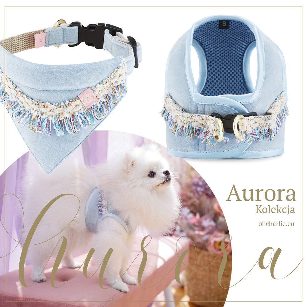 Oh Charlie - luxury pet accessories Facebook ad