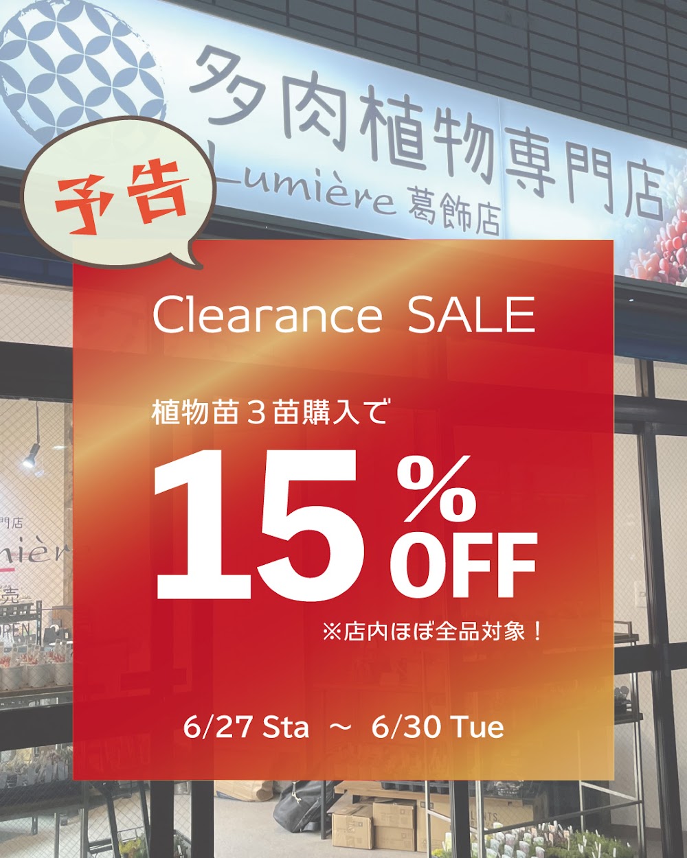 多肉植物専門店Lumière 葛飾店 Facebook ad: 6月最後のキャンペーン クリアランスSALE開催します!