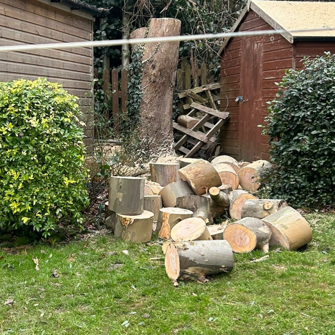 Brighton Tree Services Facebook ad: Hey Brighton neighbours!