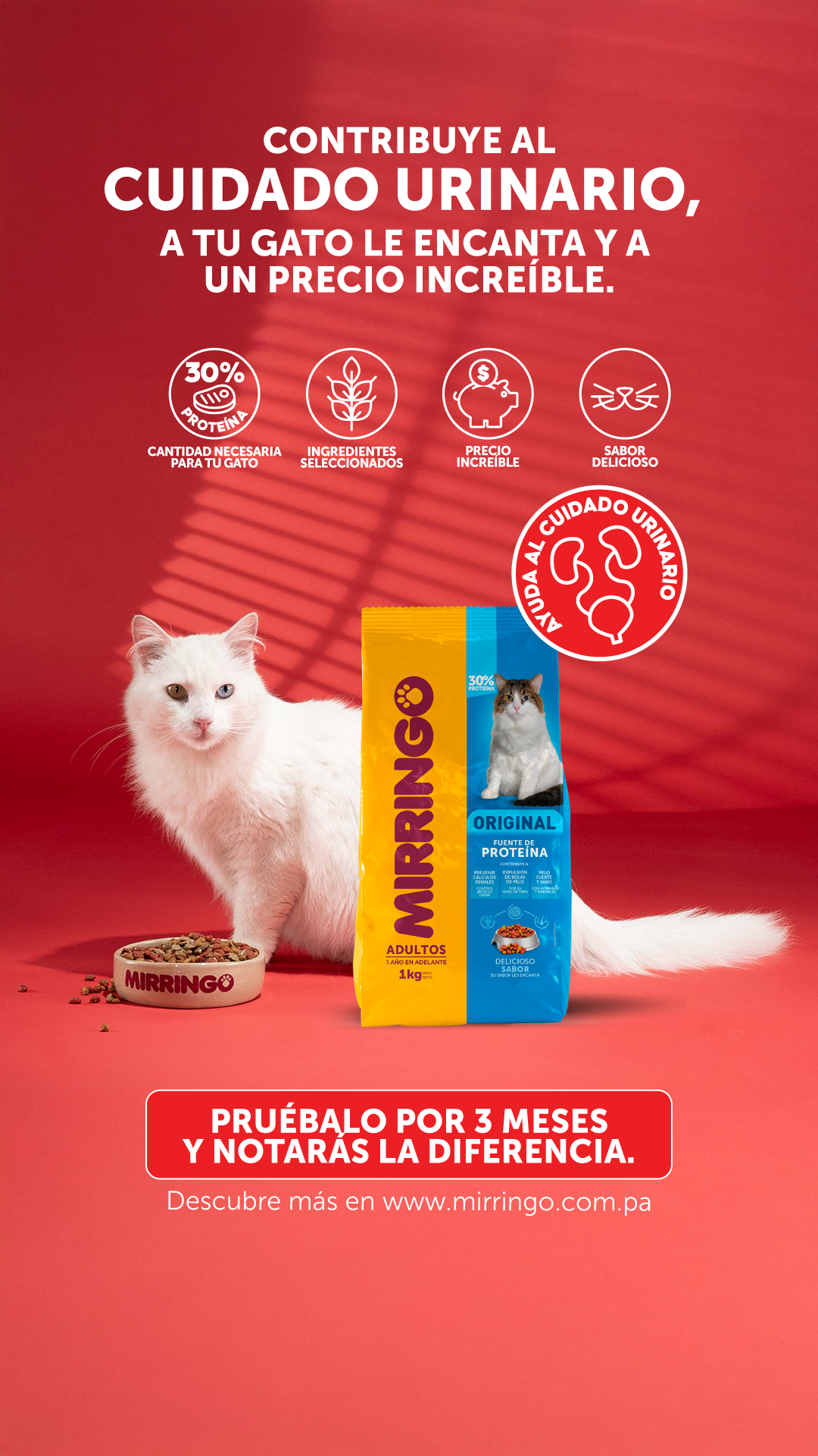 EfectoMirringo Facebook ad
