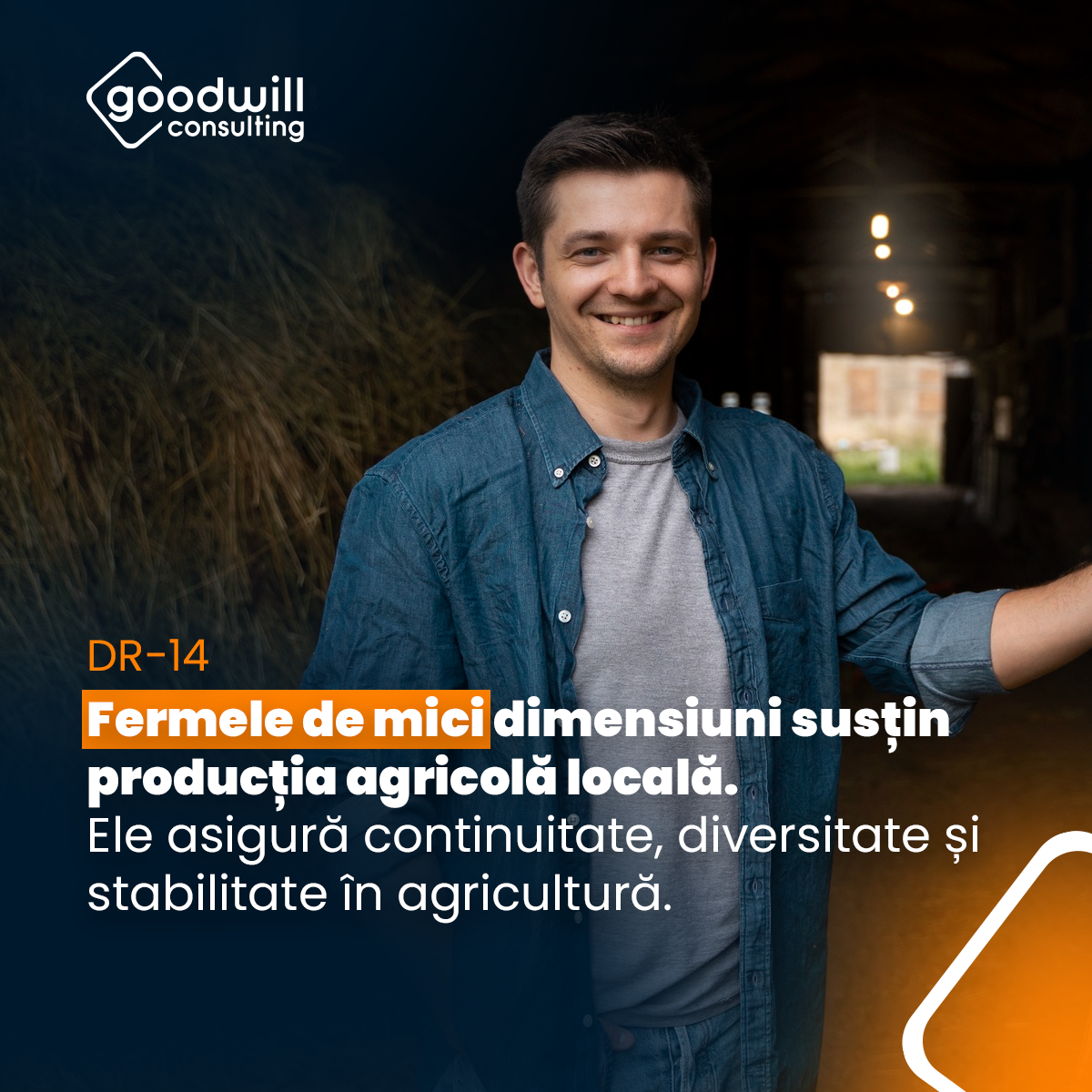 Goodwill Consulting Facebook ad