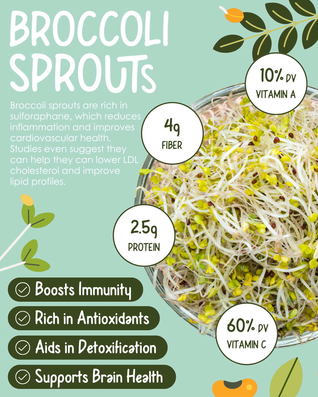 The Sprouting Company Facebook ad