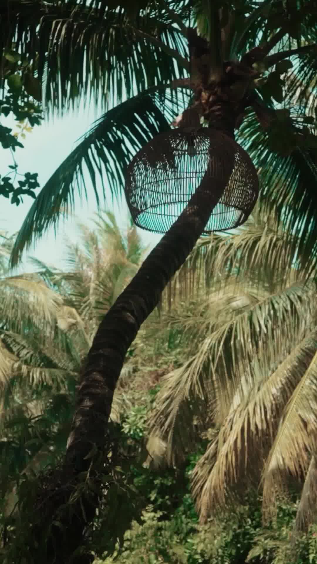 JA Manafaru Maldives Facebook ad from Jun 30, 2026