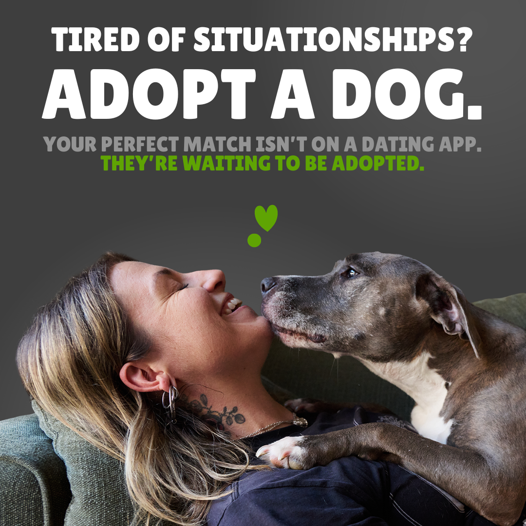 PetRescue Facebook ad: Love that doesn’t leave you on read