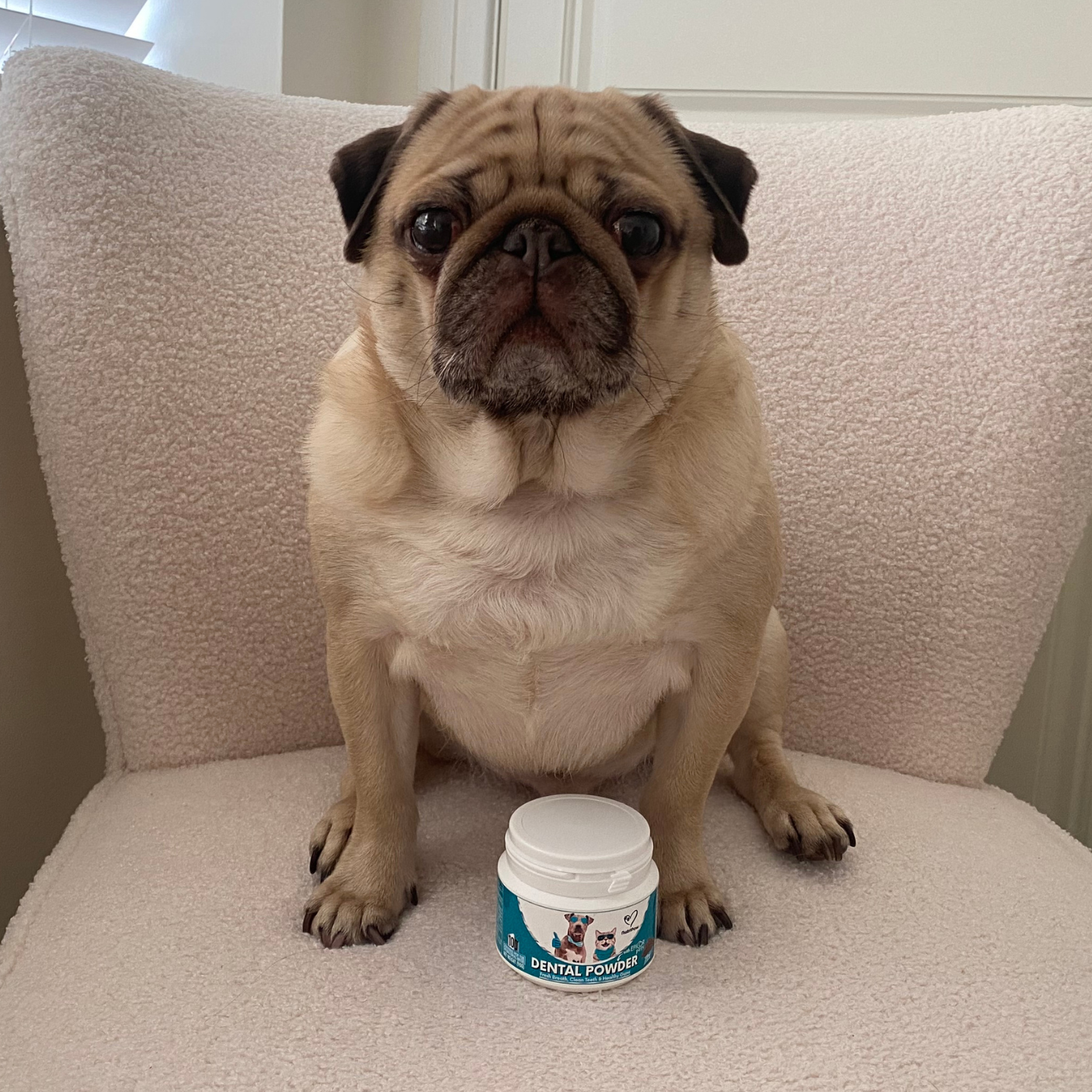 Nutri Paw Facebook ad