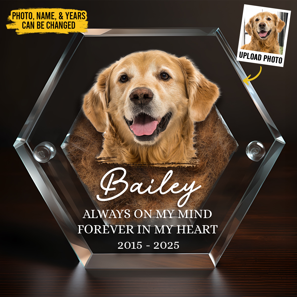 The Pawfect House - Pet Lovers Gift Facebook ad
