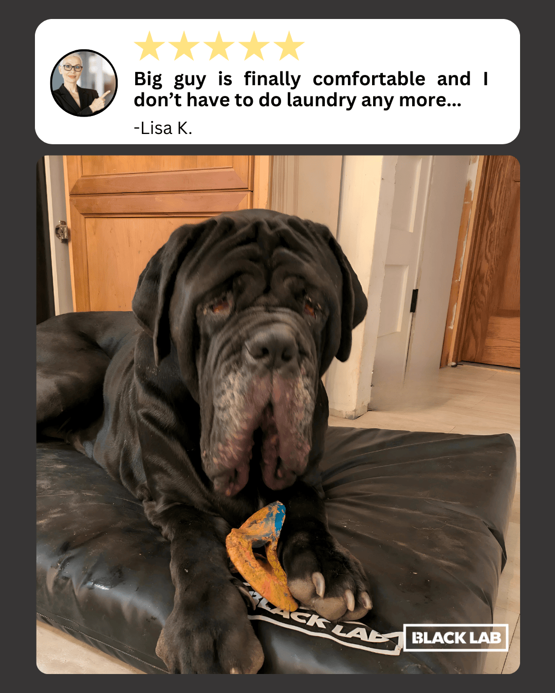 Black Lab Brands Facebook ad