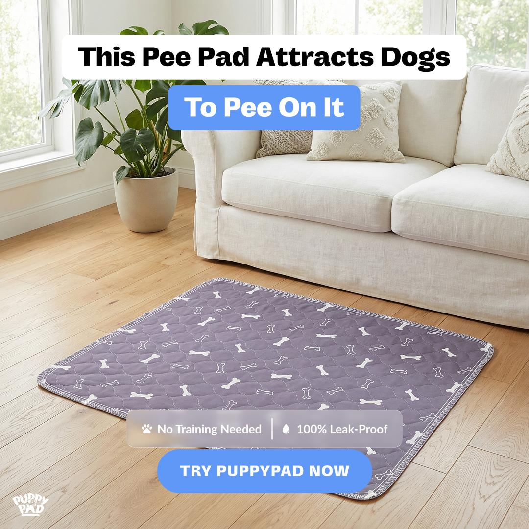 PuppyPad Facebook ad