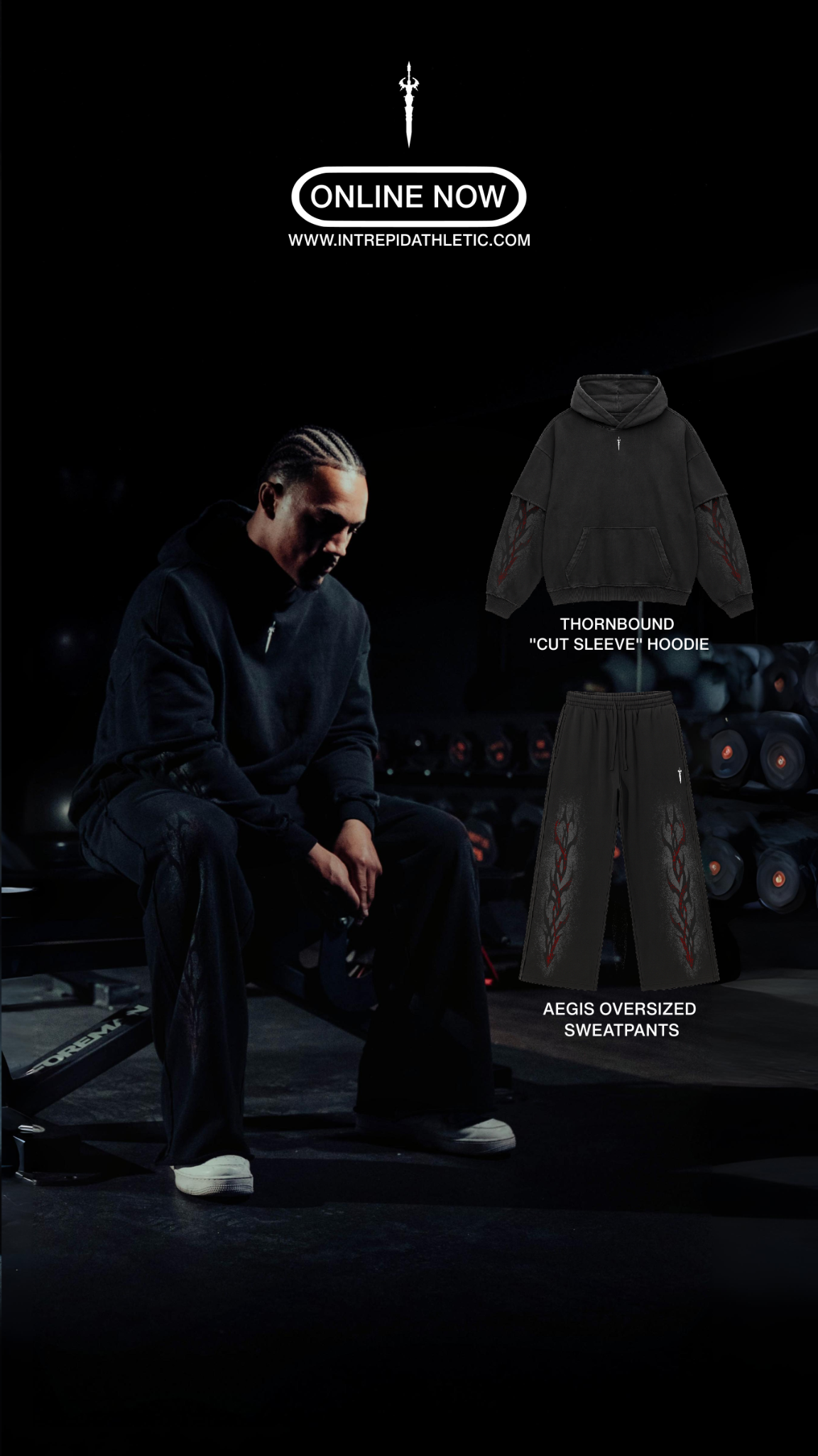 Intrepid Facebook ad