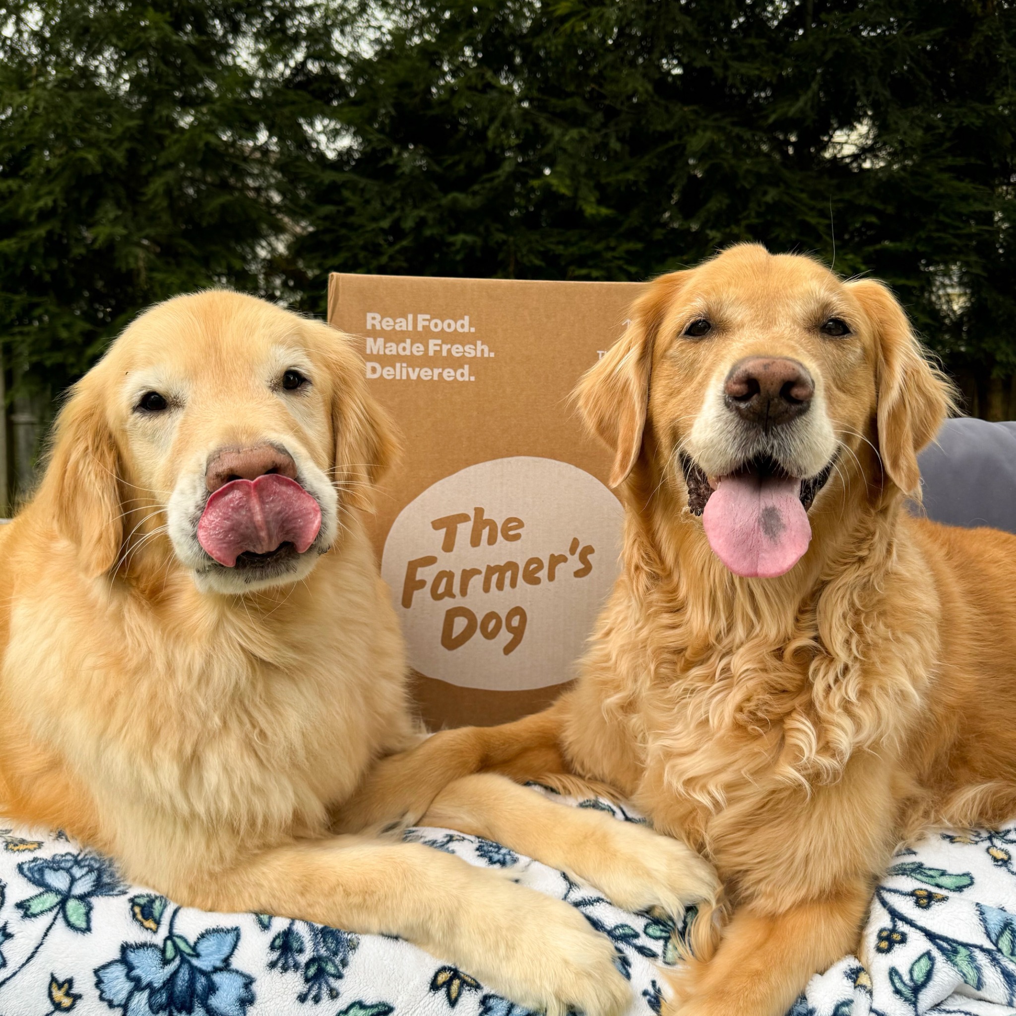 themgoldenboys Facebook ad