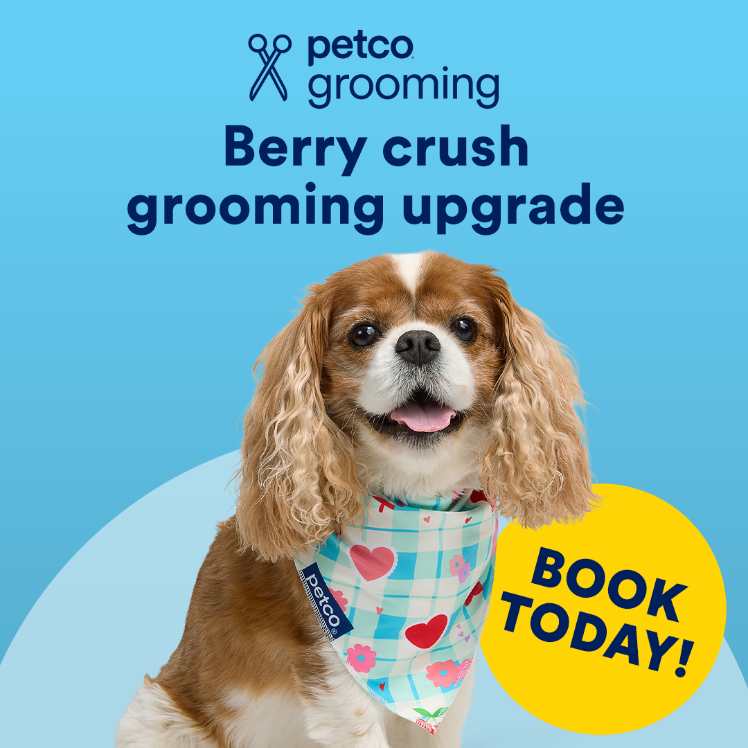 Petco Facebook ad