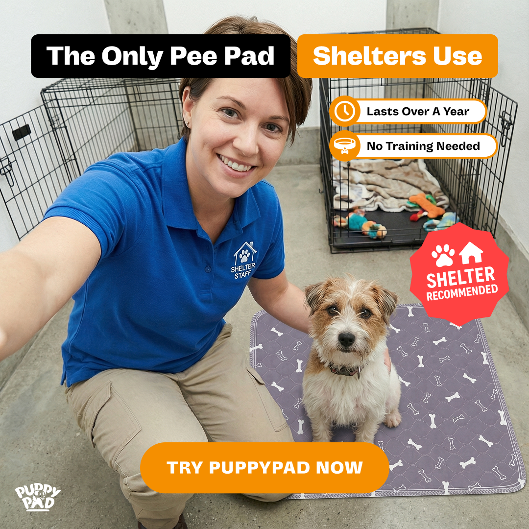 PuppyPad Facebook ad