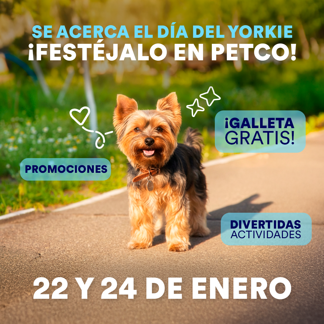 Petco México Facebook ad