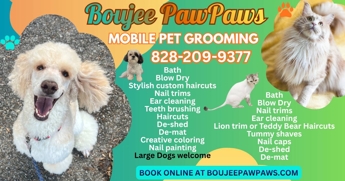 Boujee PawPaws Facebook ad: Boujee PawPaws Mobile Pet Grooming, Asheville, NC We…