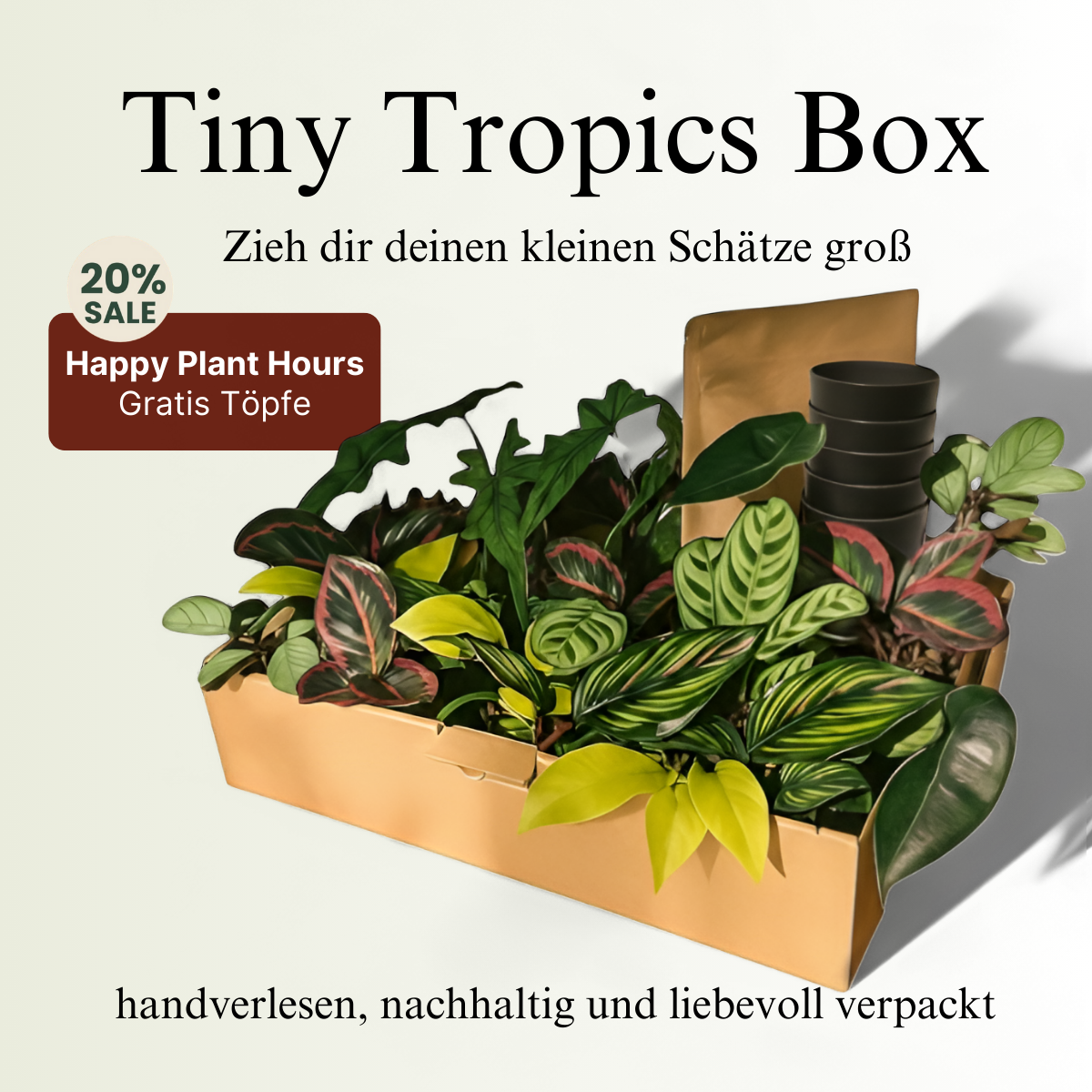 Tiny Tropics Facebook ad: Jetzt bestellen & Wurzeln schlagen lassen.