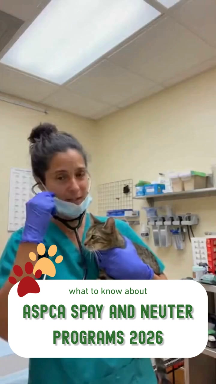 The Consumer Knowledge Facebook ad: Learn About ASPCA Spay and Neuter Programs and Eligibility…