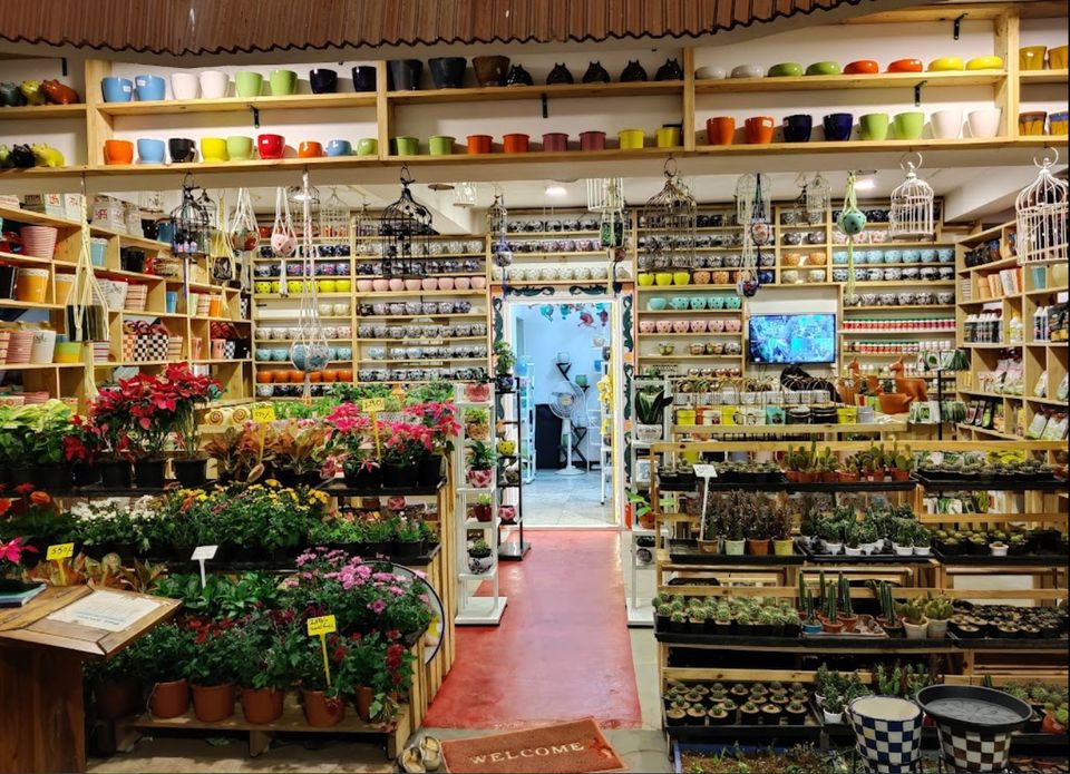 The Pot Shop Facebook ad