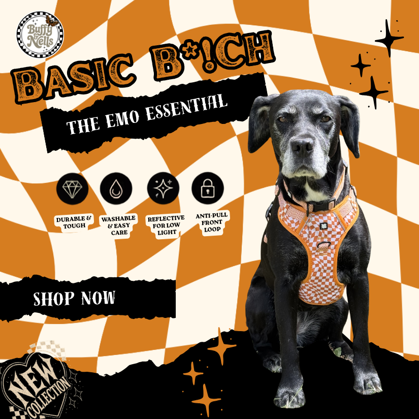 Buffy and Nells Facebook ad: Alt dogwear for dogs with attitude.