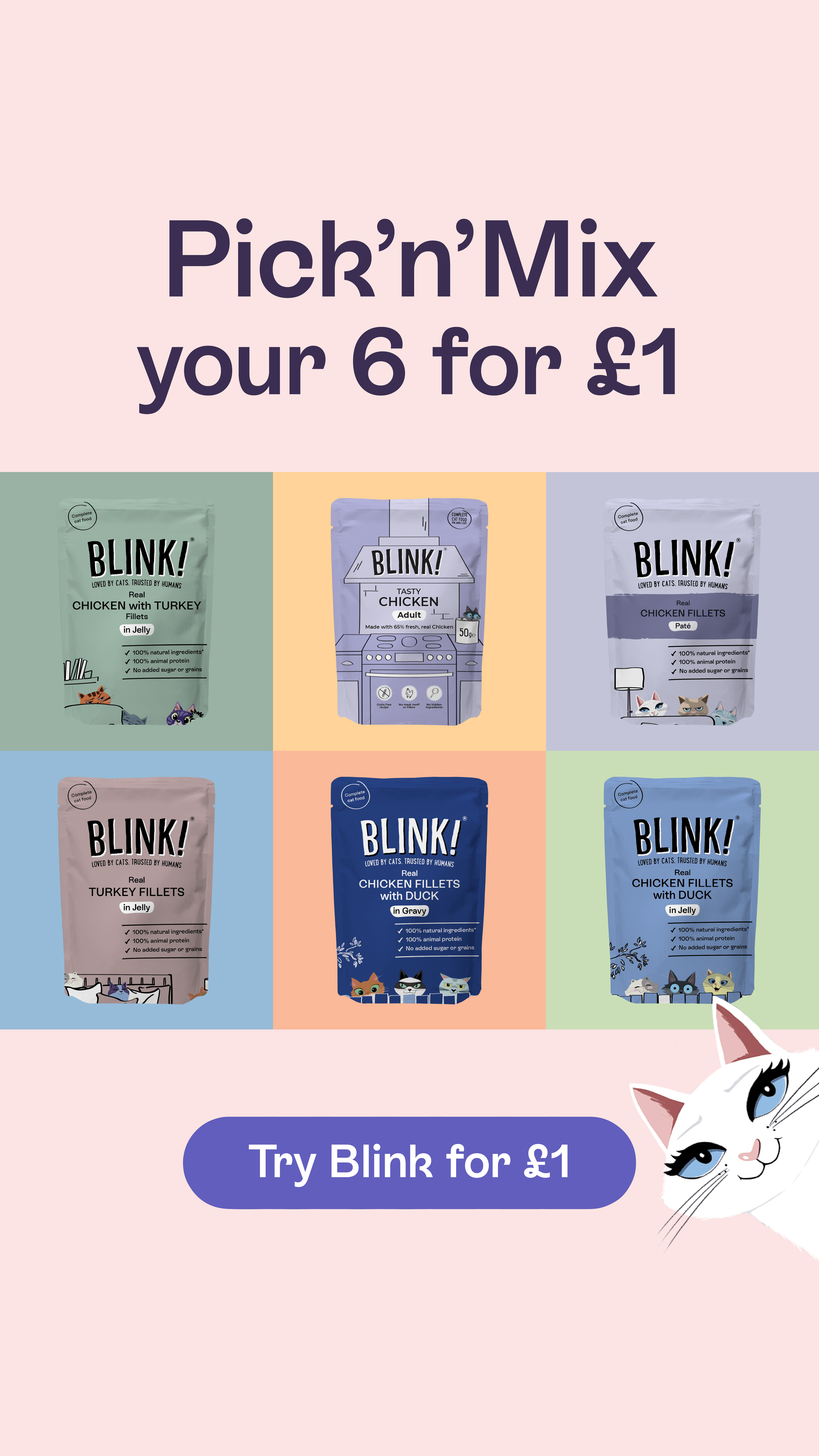 Blink Cat Food Facebook ad: Pick & Mix Any 6 Recipes For Only £1