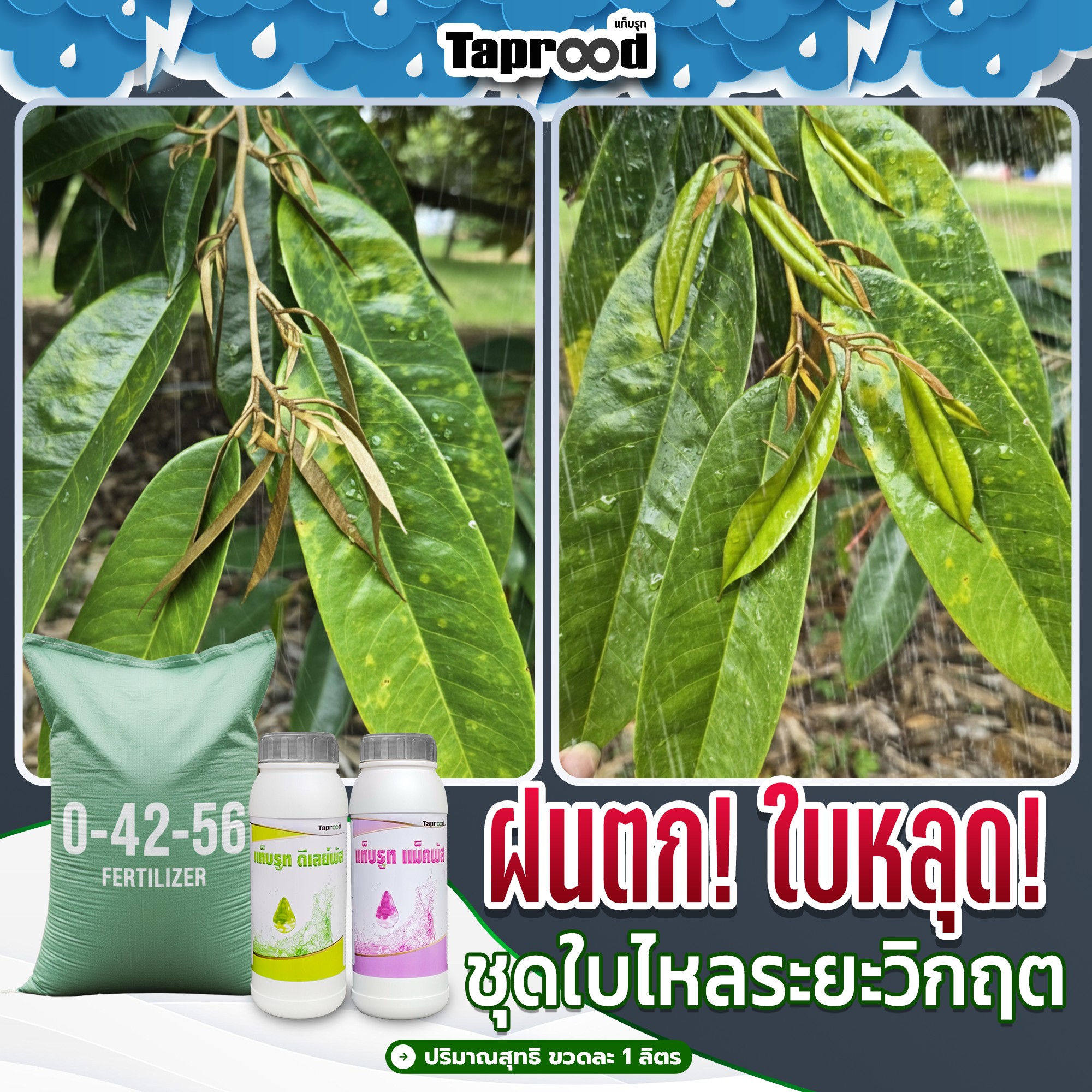 รากแก้ว วิทย Taprood ผลิตภัณฑ์ที่พัฒนาจากชาวสวนเพื่อชาวสวน Facebook ad