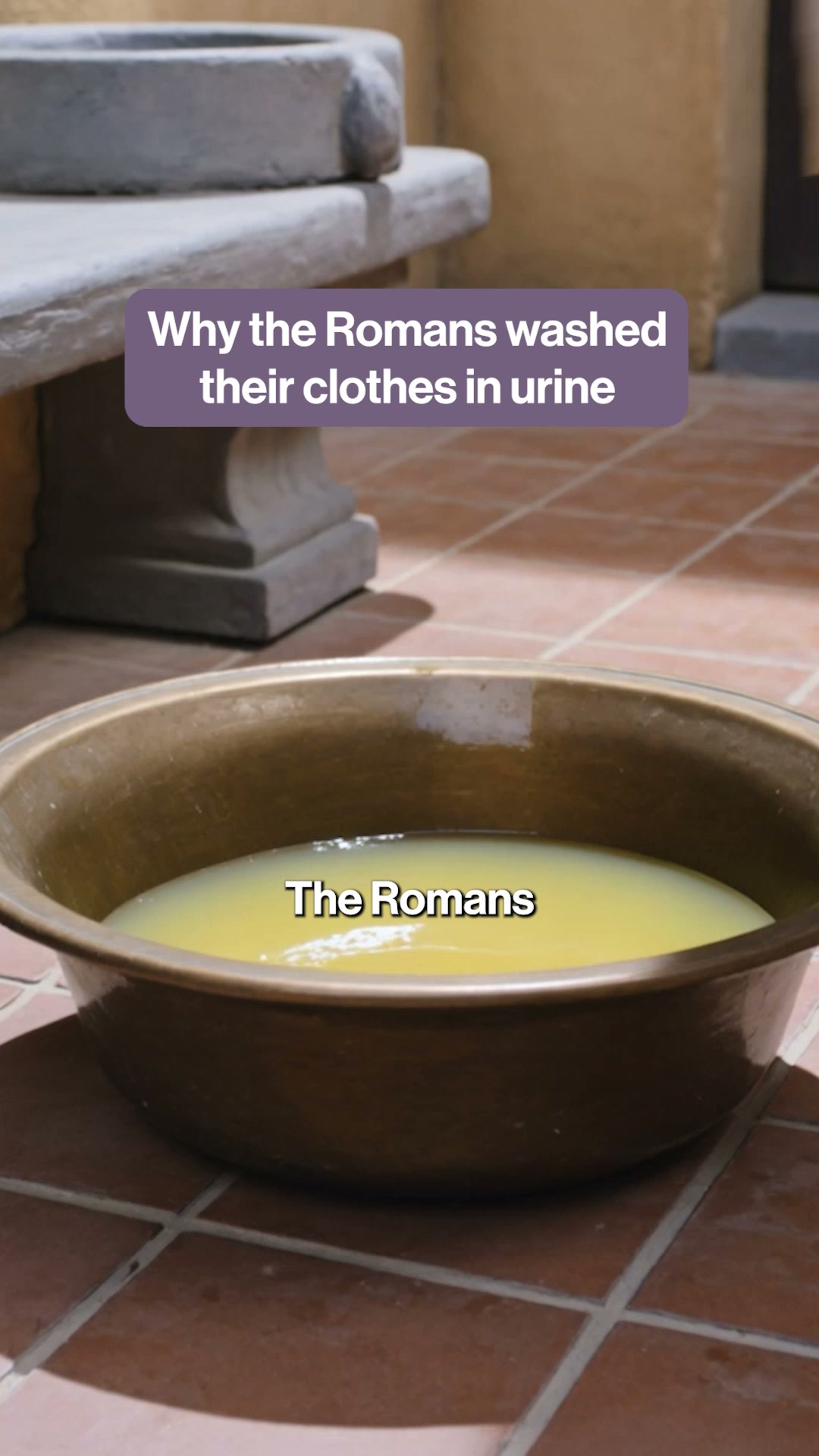 We Are Dip Facebook ad: The Romans Used Urine