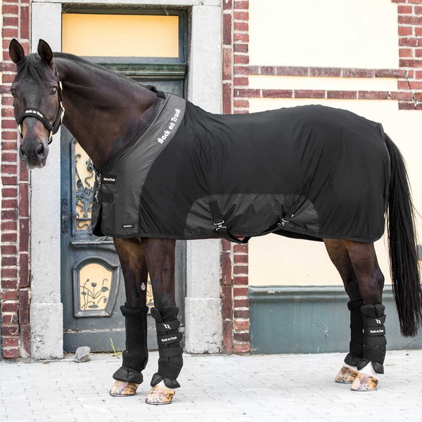 Chewy Facebook ad: With cooler days ahead, stay fall ready with…