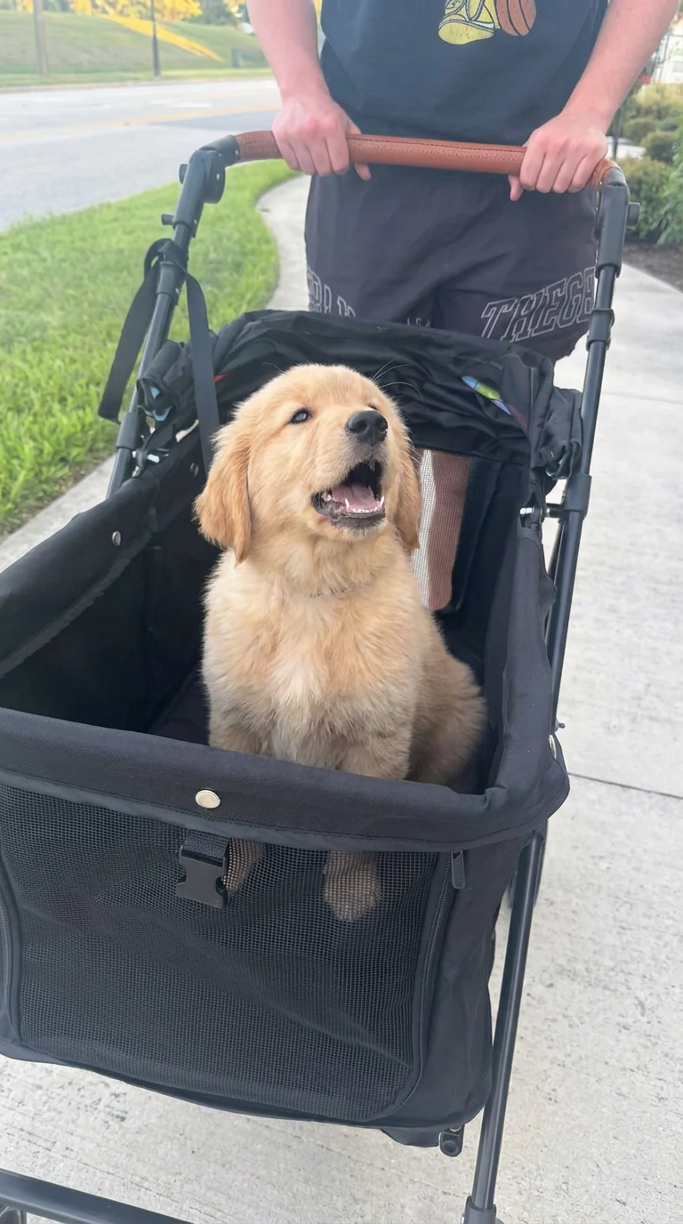 Vet approved products Facebook ad