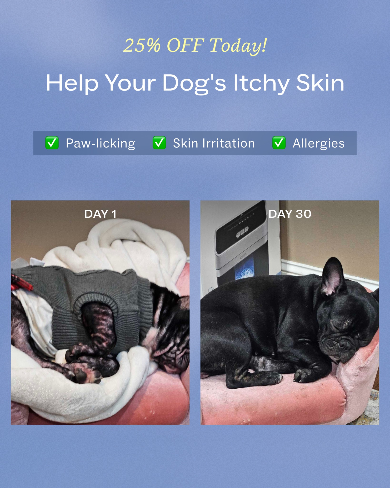 Dog is Human Facebook ad
