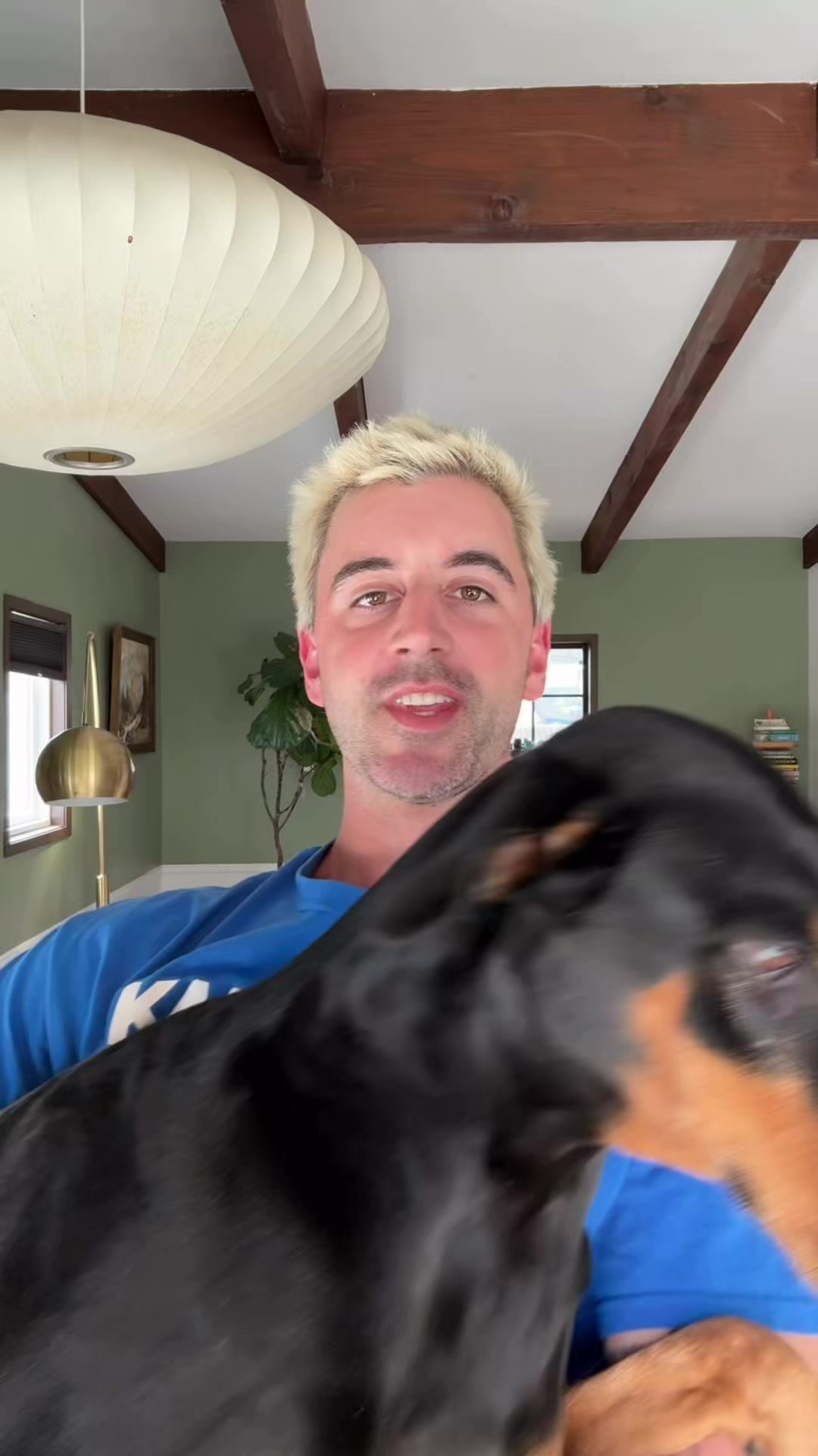 The Honest Kitchen Facebook ad: Less Prep, More Tail Wags